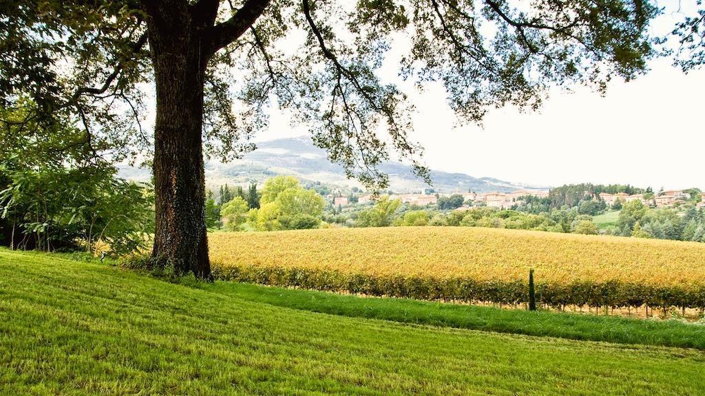 Casa Fabbrini Agriturismo San Casciano dei Bagni Εξωτερικό φωτογραφία